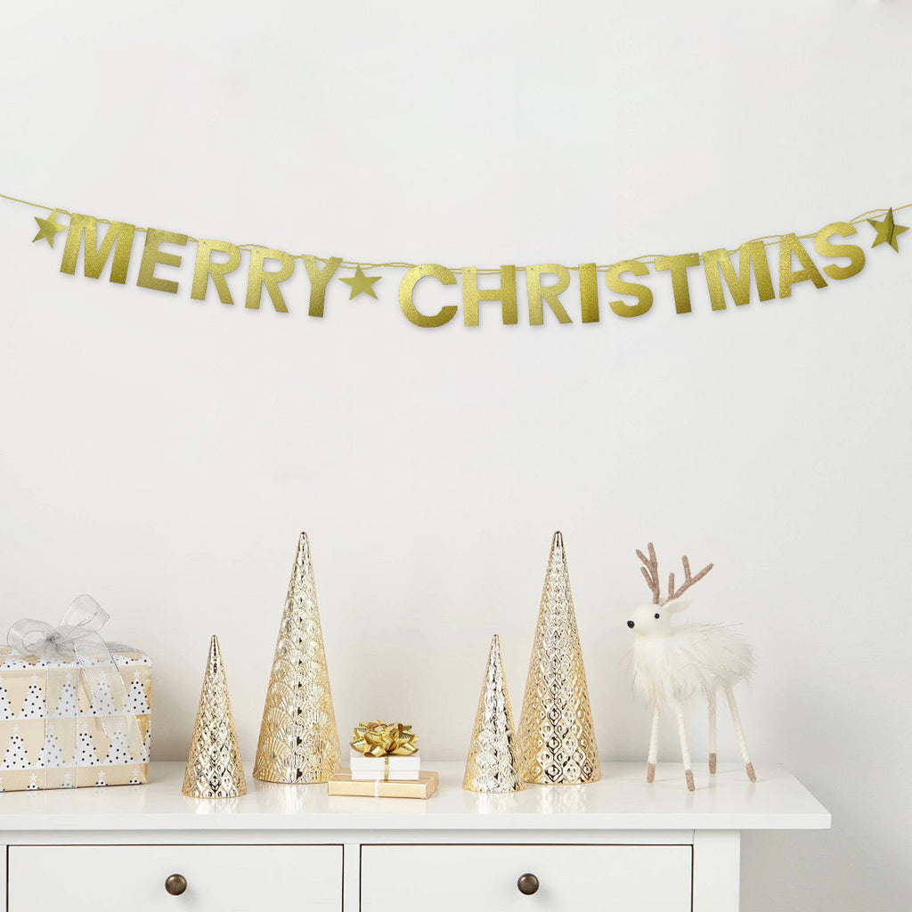 Merry Christmas Banner C/1