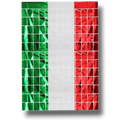 Metal Curtain with Viva Mexico Design