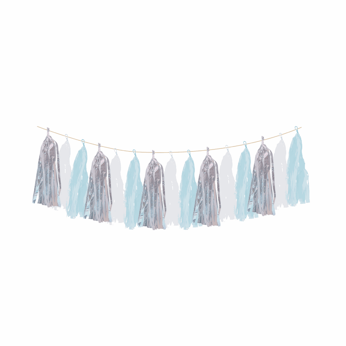 Iridescent Pom Pom Garland C/1