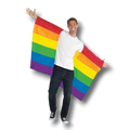Rainbow Sleeved Flag C/1