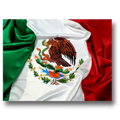 Bandera De Mexico 100cm C/1