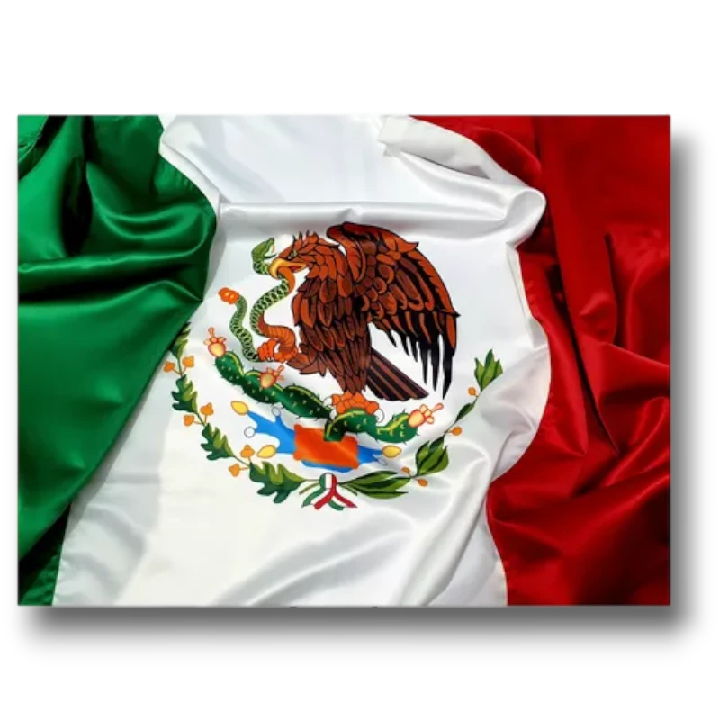 Bandera De Mexico 100cm C/1
