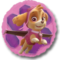 18" Paw Patrol Sky Balloon C/1