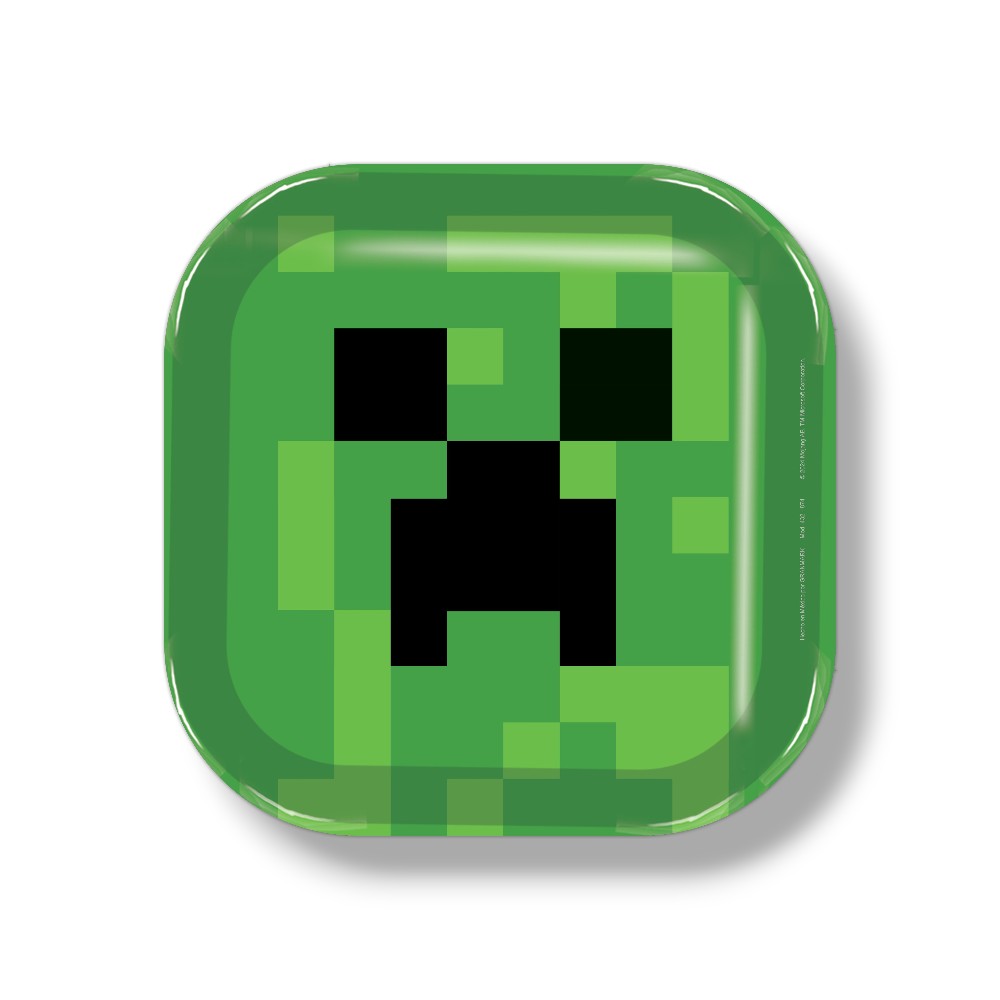 Plato 9" Minecraft C/6