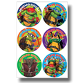 Teenage Mutant Ninja Turtles Badge C/24